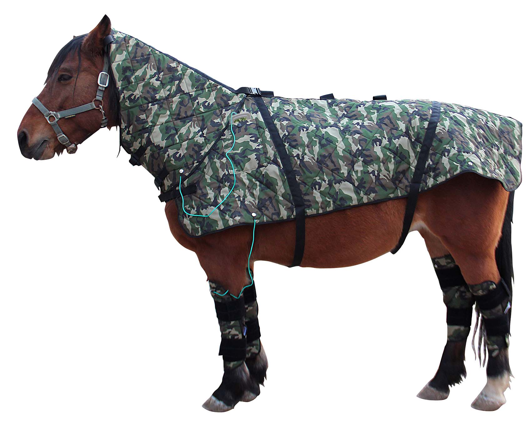 Horse applicator 2 device.jpg